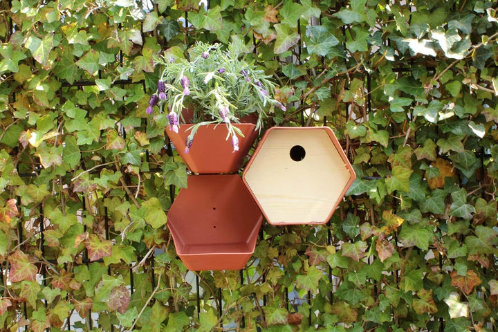Capi Europe - Vogelhaus oval Hive - 19x23x20 - Braun - CAPI Biodiversity Hive - AHBIB002 Braun Hive