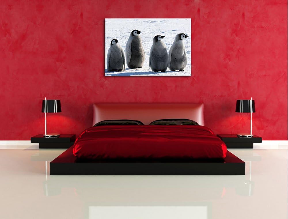 vier Kaiserpinguinküken Leinwand, XXL riesige Bilder fertig gerahmt mit Keilrahmen, Kunstdruck auf W