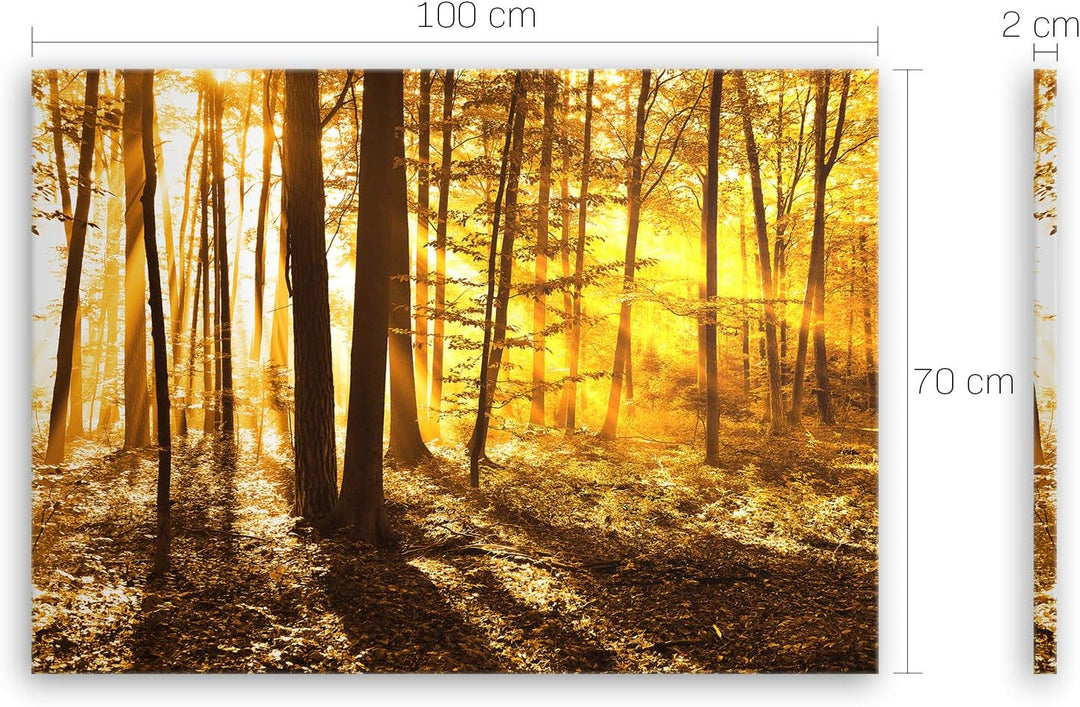 ge Bildet Bild auf Leinwand | Landschaftsbilder - beautiful morning in the forest G in 100x70 cm als