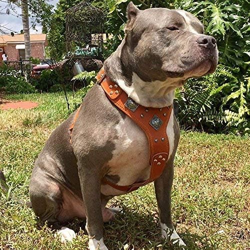 Bestia |EROS| Leder Brustgeschirr für grosse Hunde. Bis 145 cm Brustumfang. 100% Leder. Handgefertig