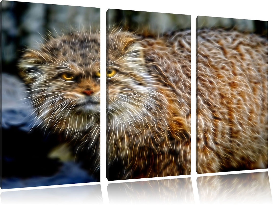 wütende Manul Spezial 3-Teiler Leinwandbild 120x80 Bild auf Leinwand, XXL riesige Bilder fertig gera