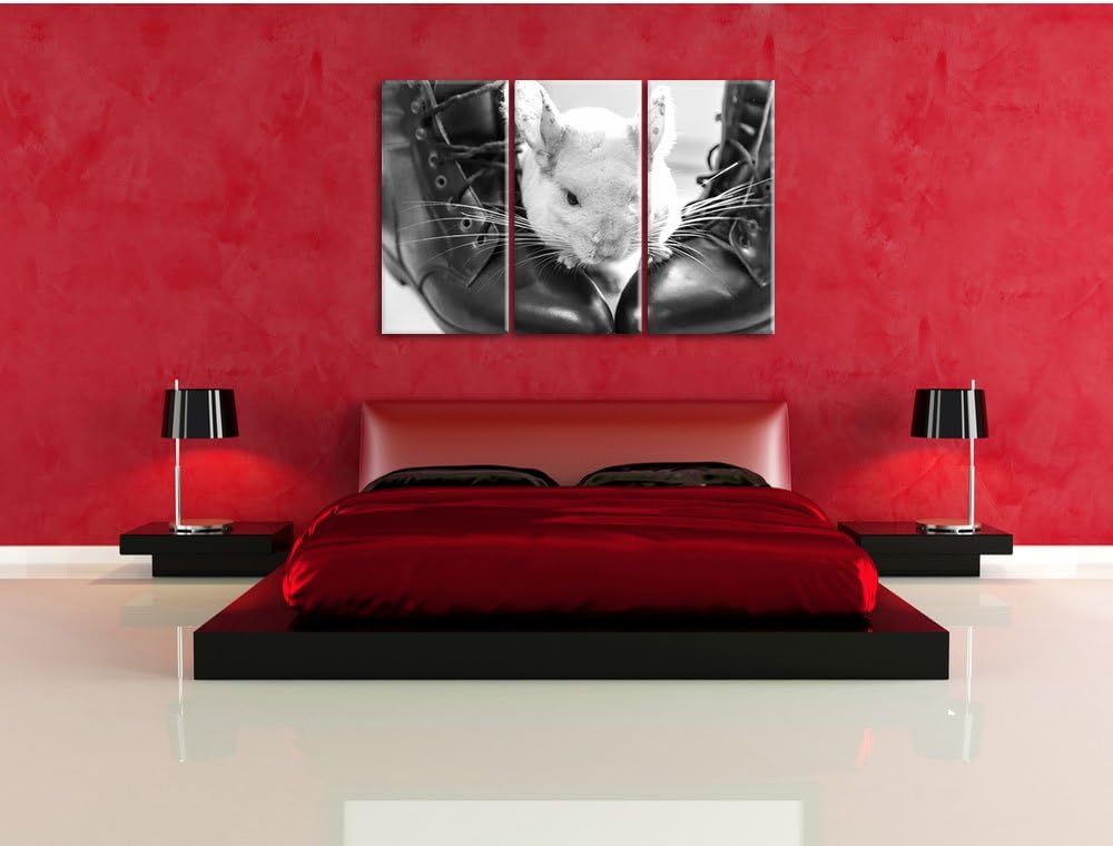 Pixxprint Chinchilla zwischen Schuhen als Leinwandbild/Grösse: 3 Teilig (120x80) cm/Wandbild/Kunstdr