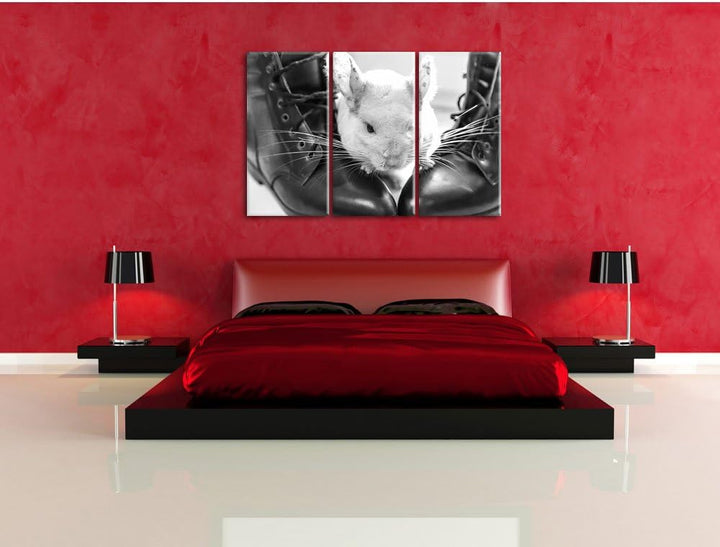 Pixxprint Chinchilla zwischen Schuhen als Leinwandbild/Grösse: 3 Teilig (120x80) cm/Wandbild/Kunstdr
