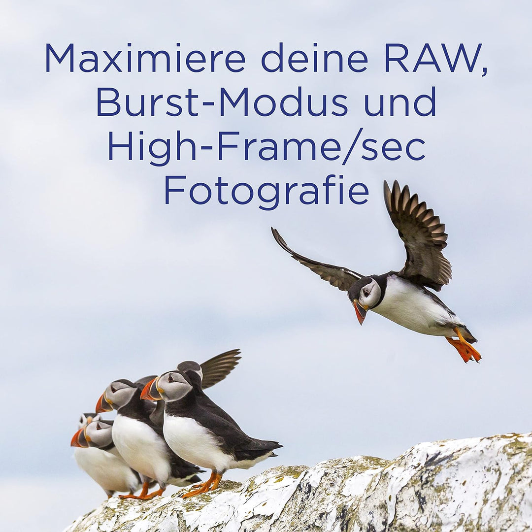 Integral 64GB UHS-II SD-Karte v60 Bis zu 260MB/s Lese- und 100MB/s Schreibgeschwindigkeit SDXC Profe