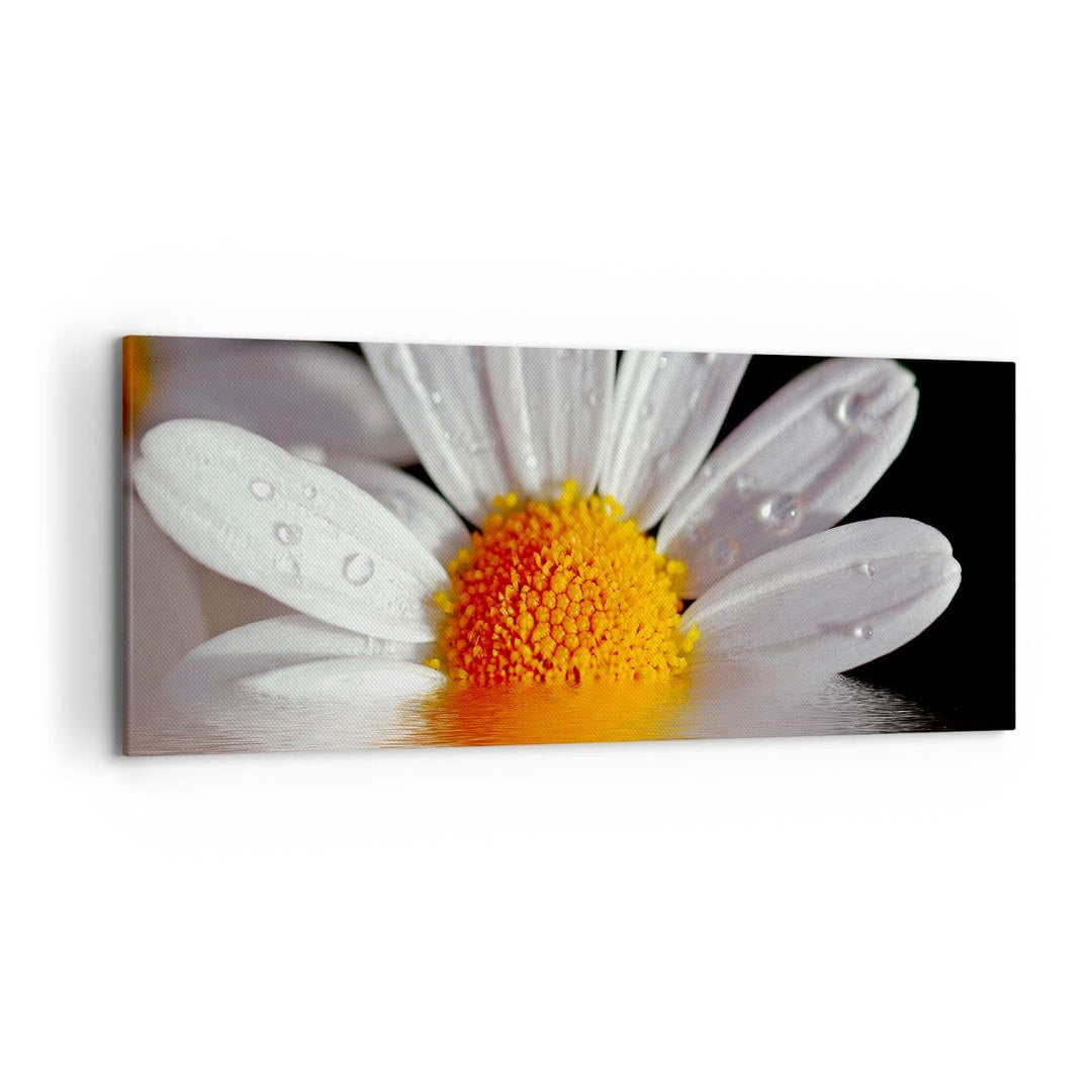 Wandbilder Dekoration Wohnzimmer Kraut Kamille Blume Wasser Panorama Bilder auf Leinwand 120x50cm Le