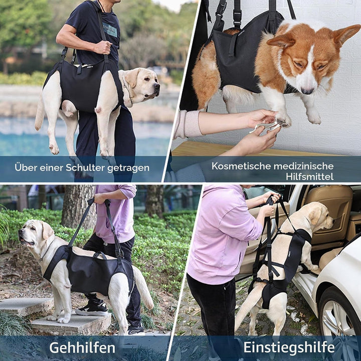 Tragehilfe für Hunde - Verstellbare Gehhilfe, Hebegeschirr für Hinterbeine, Hüftstütze Mit Griffen,