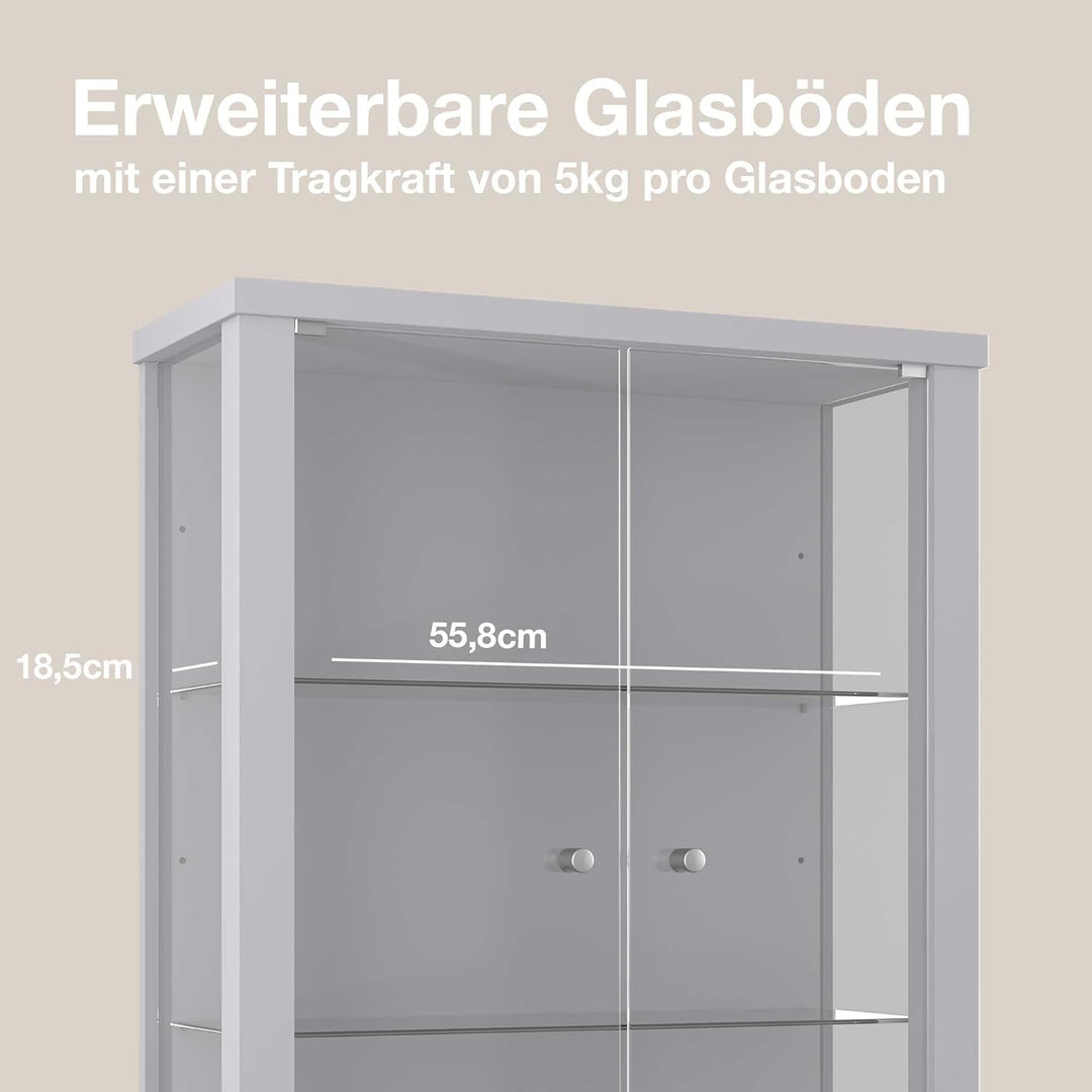K-Möbel Hängevitrine Glas in Alu/Silber (80x60x25 cm) mit 2 höhenverstellbaren Glasböden - Modellaut