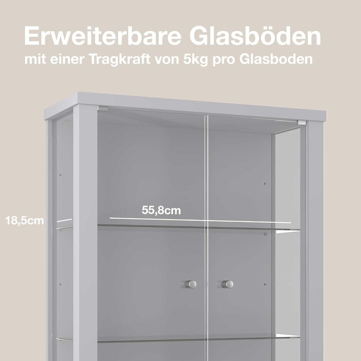 K-Möbel Hängevitrine Glas in Alu/Silber (80x60x25 cm) mit 2 höhenverstellbaren Glasböden - Modellaut