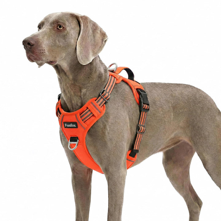 Funfox Hundegeschirr Grosse Hunde [XL] - Verstellbares Anti-Zug Brustgeschirr mit Griff & Reflektors