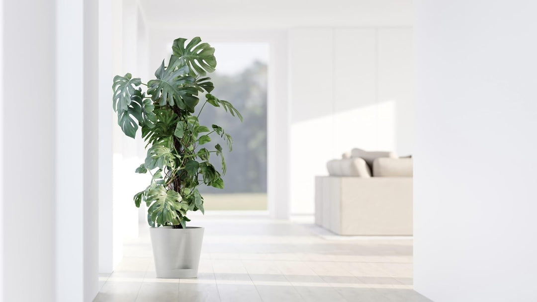 Ecopots Blumentopf Venice 2 mit Bewässerung Weiss - Durchmesser Ø 30 cm rund gross - Pflanzentopf au