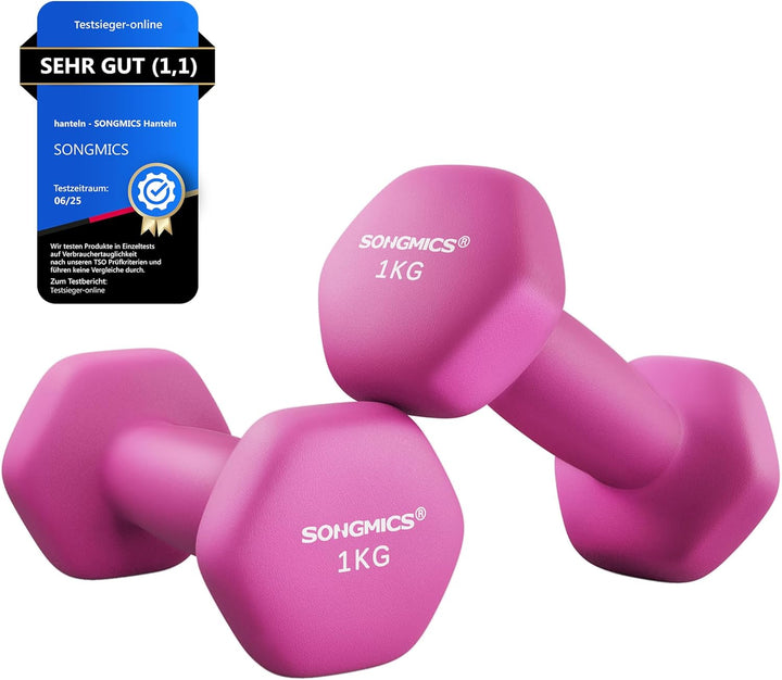 SONGMICS Hanteln, 2er Set,Hantelset, Kurzhanteln, Hexagon, Neopren-Beschichtung, Krafttraining, Work