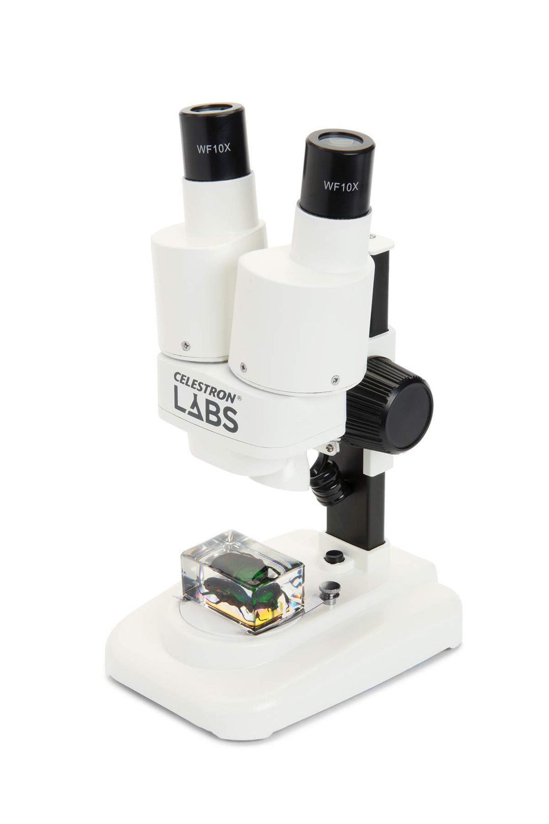 Celestron 44207 CL-S20 Stereo Microscope, 20x Magnification, White Labs CL-S20 Stereo, Labs CL-S20 S