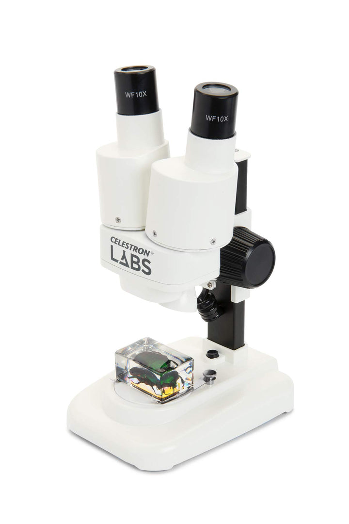 Celestron 44207 CL-S20 Stereo Microscope, 20x Magnification, White Labs CL-S20 Stereo, Labs CL-S20 S