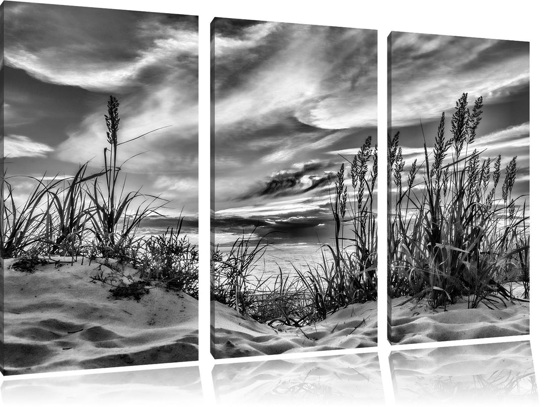Pixxprint Monocrome, Gras am Strand bei Sonnenuntergang 3-Teiler Leinwandbild 120x80 Bild auf Leinwa
