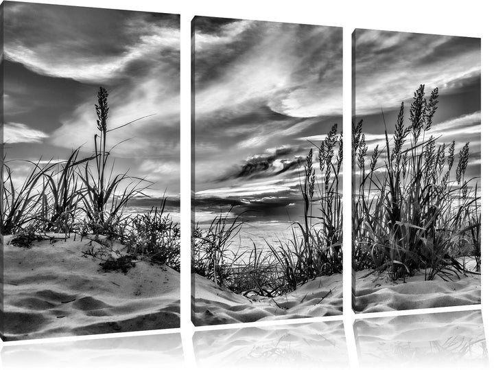 Pixxprint Monocrome, Gras am Strand bei Sonnenuntergang 3-Teiler Leinwandbild 120x80 Bild auf Leinwa