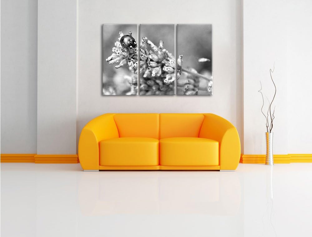 Pixxprint Kleiner Marienkäfer auf Lavendel Kunst B&W 3-Teiler Leinwandbild 120x80 Bild auf Leinwand