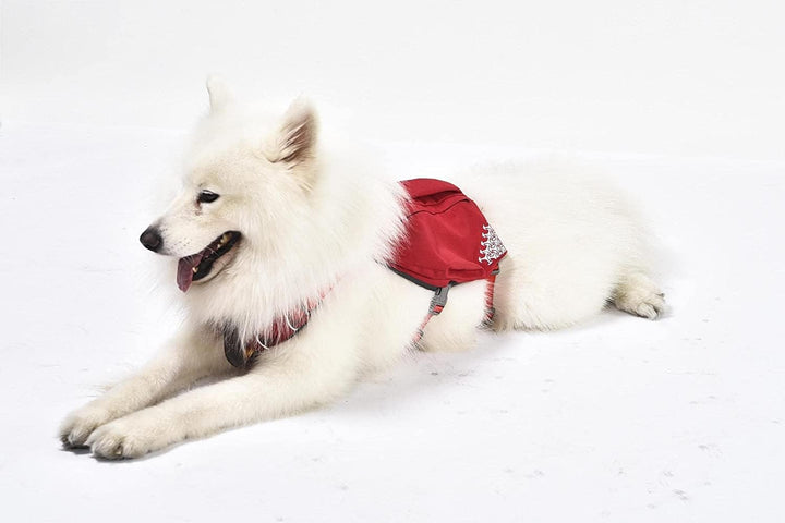 iEnergy™ MIC Hundegeschirr mit Zwei Seitentaschen &amp; ideal für Kurzausflüge, Atmungsaktives, reflekti