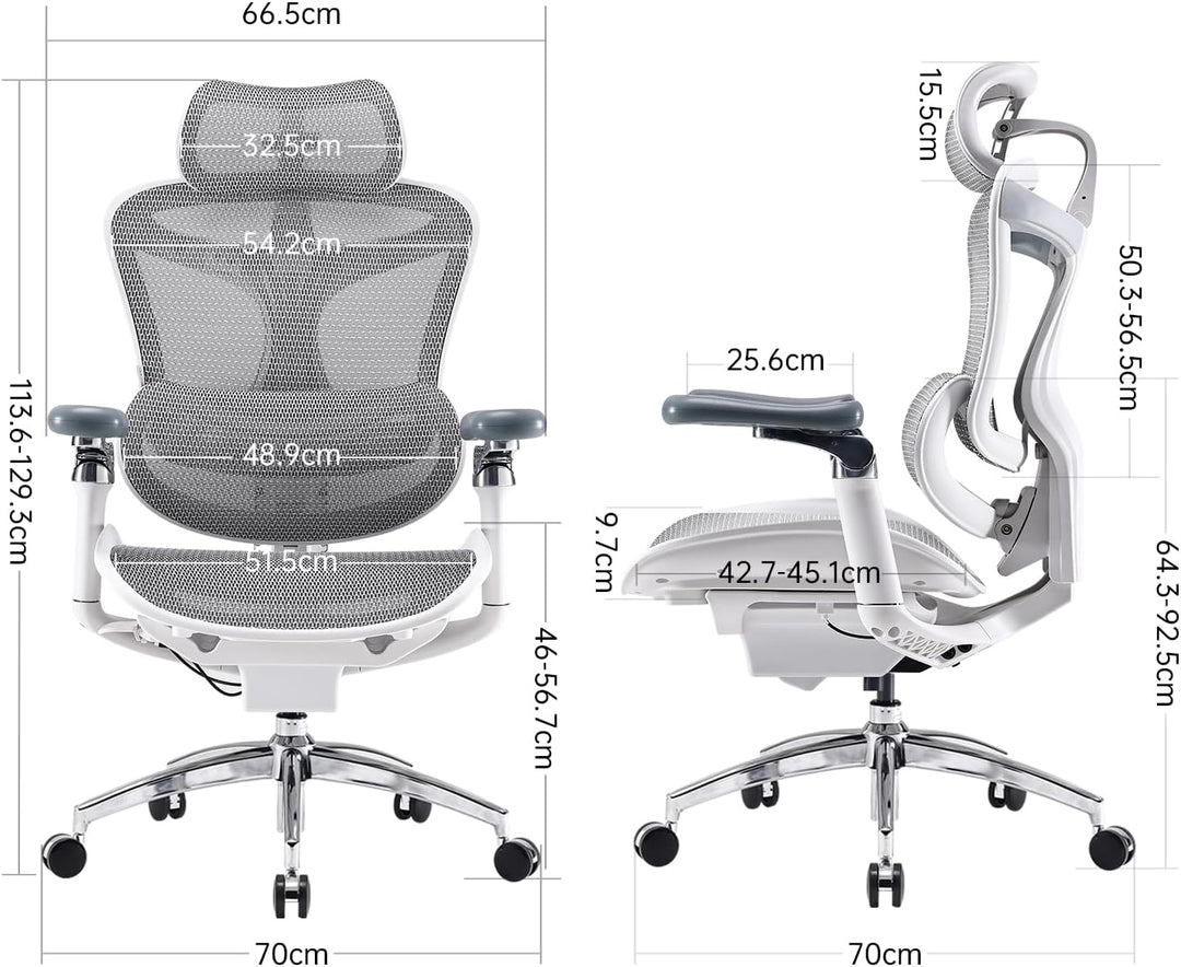 SIHOO Doro C300 Pro Ergonomischer Bürostuhl mit ultraweichen 6D-Armlehnen, dynamischer Lendenwirbels