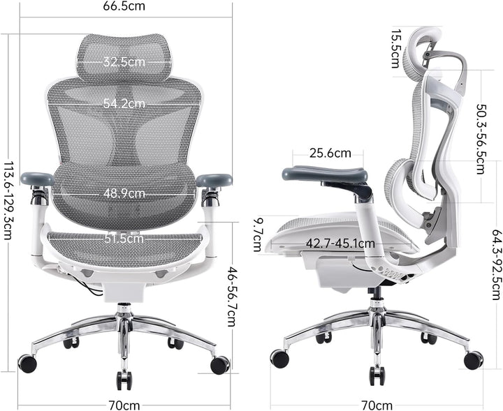 SIHOO Doro C300 Pro Ergonomischer Bürostuhl mit ultraweichen 6D-Armlehnen, dynamischer Lendenwirbels