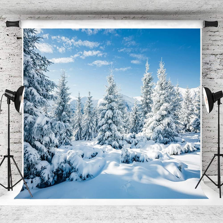 AIIKES 10x10FT Schneelandschaft Hintergrund Winter Wald Schnee Baum Fotografie Hintergrund Outdoor H