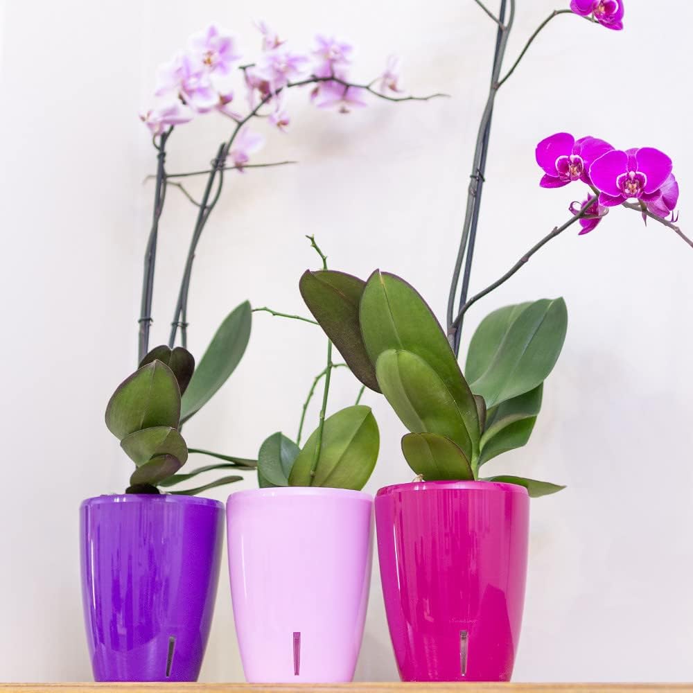 Santino 4er-Set Orchideentopf D 12cm Selbstbewässernder Topf mit Dochtsystem und Wasserstandsanzeige
