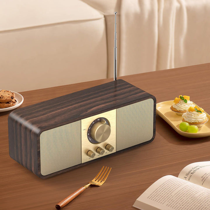 Nostalgie Radio, Retro Radios mit Bluetooth und TF Karte, 3000mAH Batteriebetrieben, mit 2 x 8 Watt