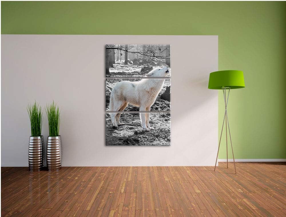 weisser jaulender Wolf im Wald schwarz/weiss 3-Teiler Leinwandbild 120x80 Bild auf Leinwand, XXL rie
