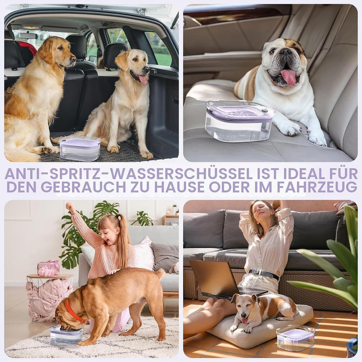 Hunde Wassernapf ohne Verschütten, Knapp 2.5L Grosser Auslaufsicherer Hundenapf, Anti-Spritz Wassers