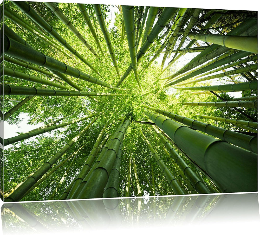 Pixxprint Grüner Bambus, Format: 100x70 auf Leinwand, XXL riesige Bilder fertig gerahmt mit Keilrahm