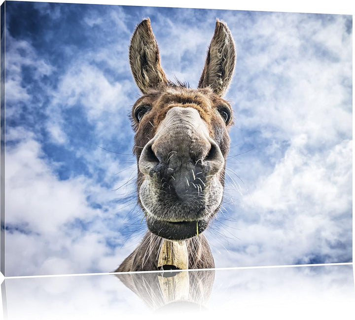 Pixxprint Lustiger Esel, Format: 100x70 auf Leinwand, XXL riesige Bilder fertig gerahmt mit Keilrahm