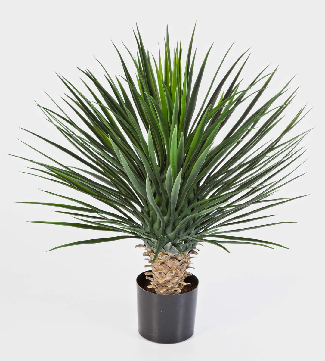 artplants.de Künstliche Yucca Rostrata, 176 Blätter, Deluxe, 80cm - Kunstbusch - Yucca Kunstpflanze