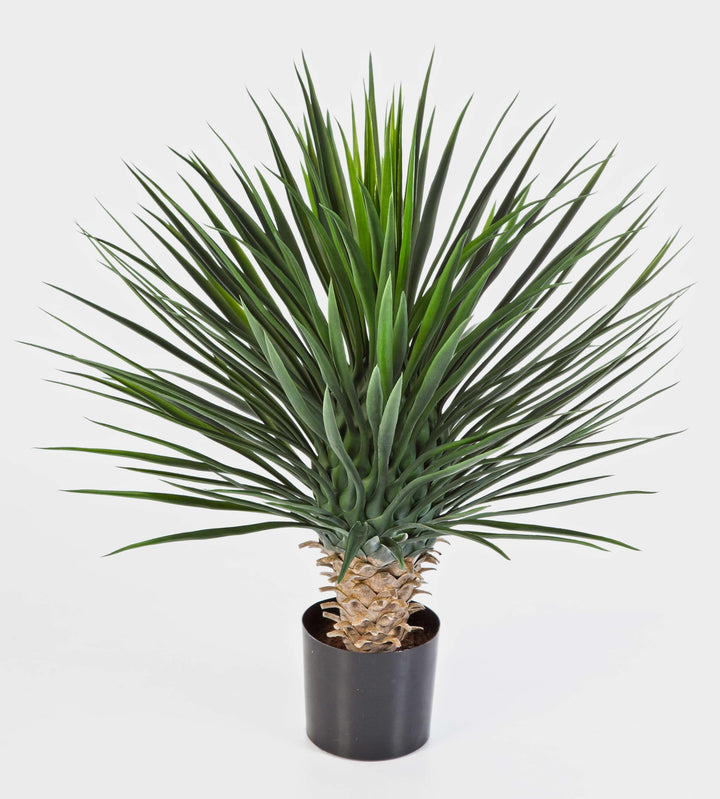 artplants.de Künstliche Yucca Rostrata, 176 Blätter, Deluxe, 80cm - Kunstbusch - Yucca Kunstpflanze