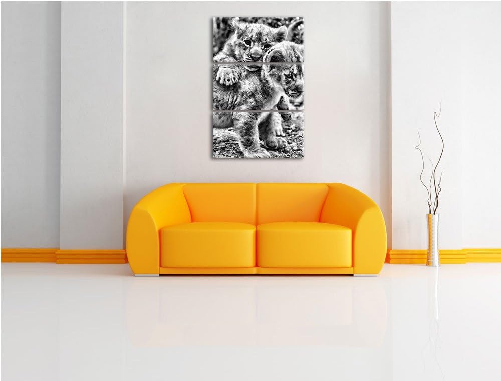 Pixxprint Löwenjunge als Leinwandbild/Grösse: 3 Teilig (120x80) cm/Wandbild/Kunstdruck/fertig bespan