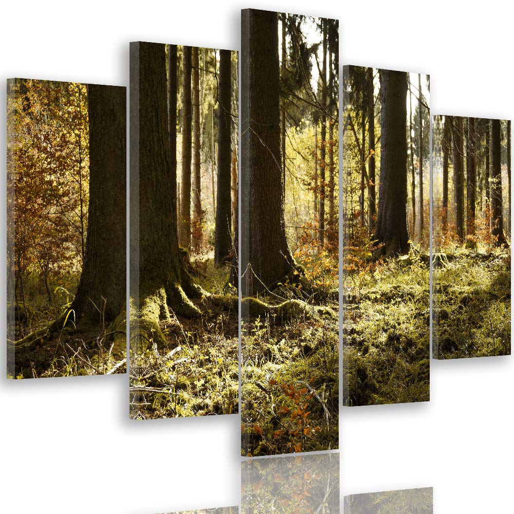 Feeby Bild auf Leinwand Natur 5 Teilig Modern Landschaft Wald Bäume orange 200x100 cm Leinwandbild 2