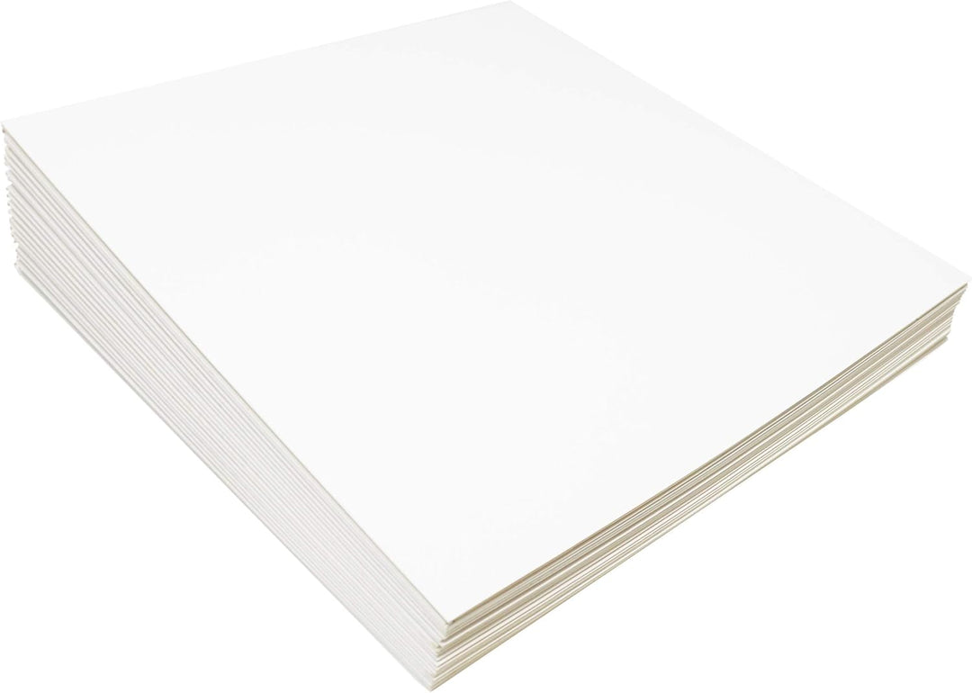 BIG FUDGE Pro Blank Schallplatten Hüllen - 12" x Weiss - 20 Vinyl LP Schutzhüllen 350 g/m² - Kompati