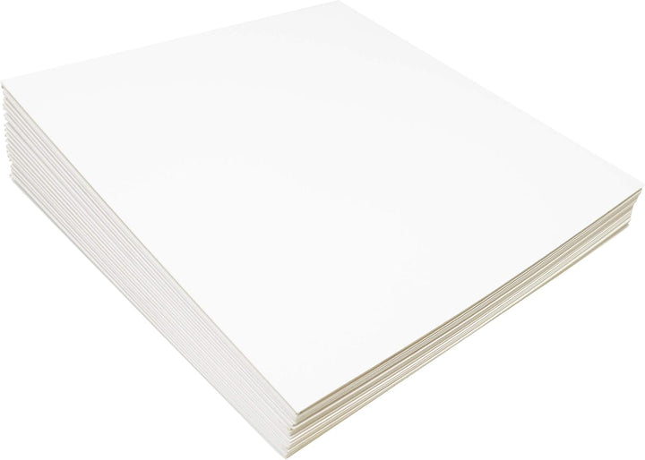 BIG FUDGE Pro Blank Schallplatten Hüllen - 12" x Weiss - 20 Vinyl LP Schutzhüllen 350 g/m² - Kompati