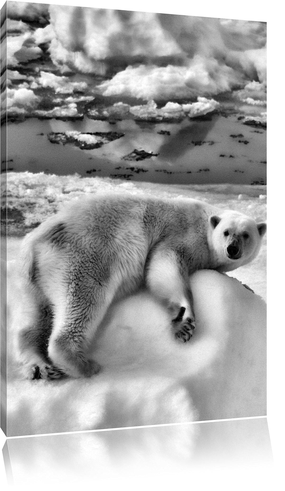 Pixxprint Eisbär auf Eisberg als Leinwandbild/Grösse: 100x70 cm/Wandbild/Kunstdruck/fertig bespannt,
