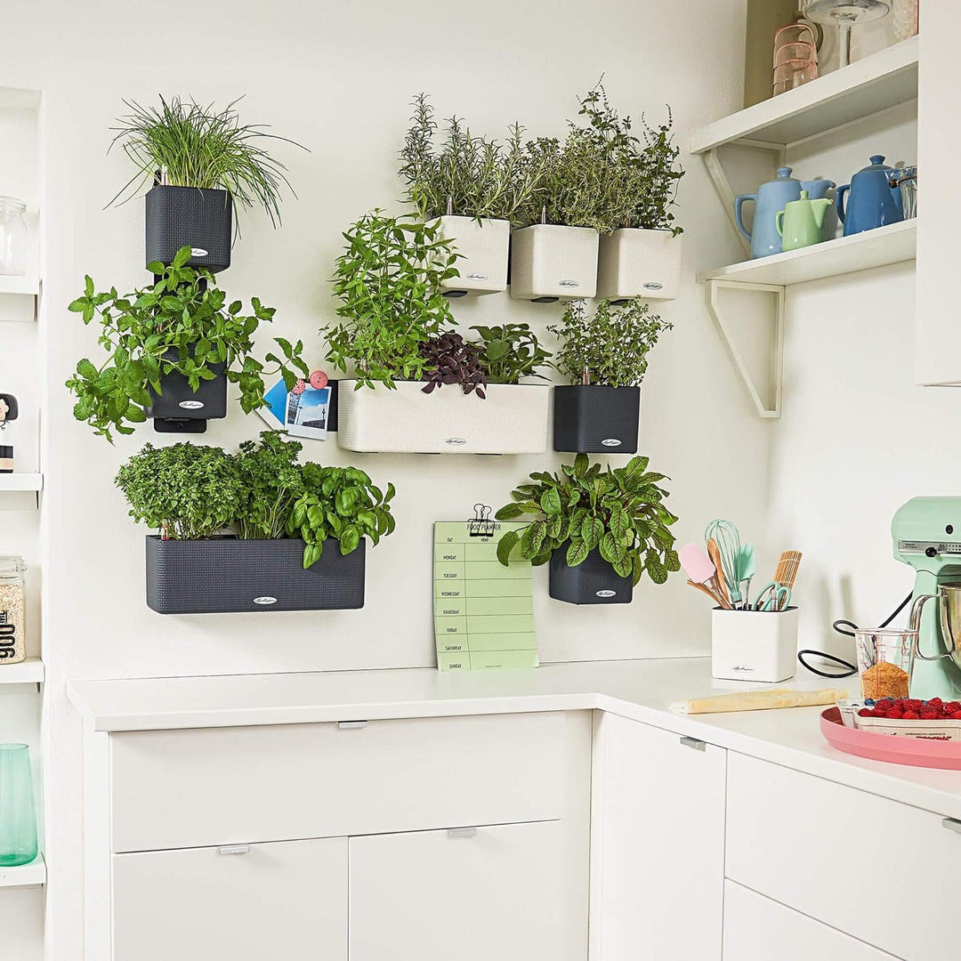 LECHUZA CUBE Color Green Wall Home Kit schiefergrau 13399 48x14x10 cm Schiefergrau, 48x14x10 cm Schi