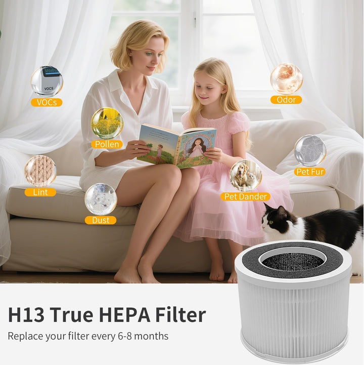 Luftreiniger Filter, Ersatzfilter für Chuboor PJ06 PJ07 PJ01A Luftreiniger, 3-in-1 Pre, H13 True HEP