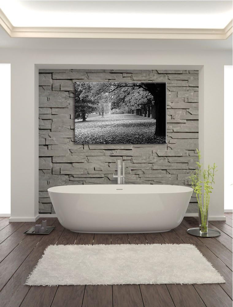 schöner Park im Herbst schwarz/weiss Format: 100x70 auf Leinwand, XXL riesige Bilder fertig gerahmt