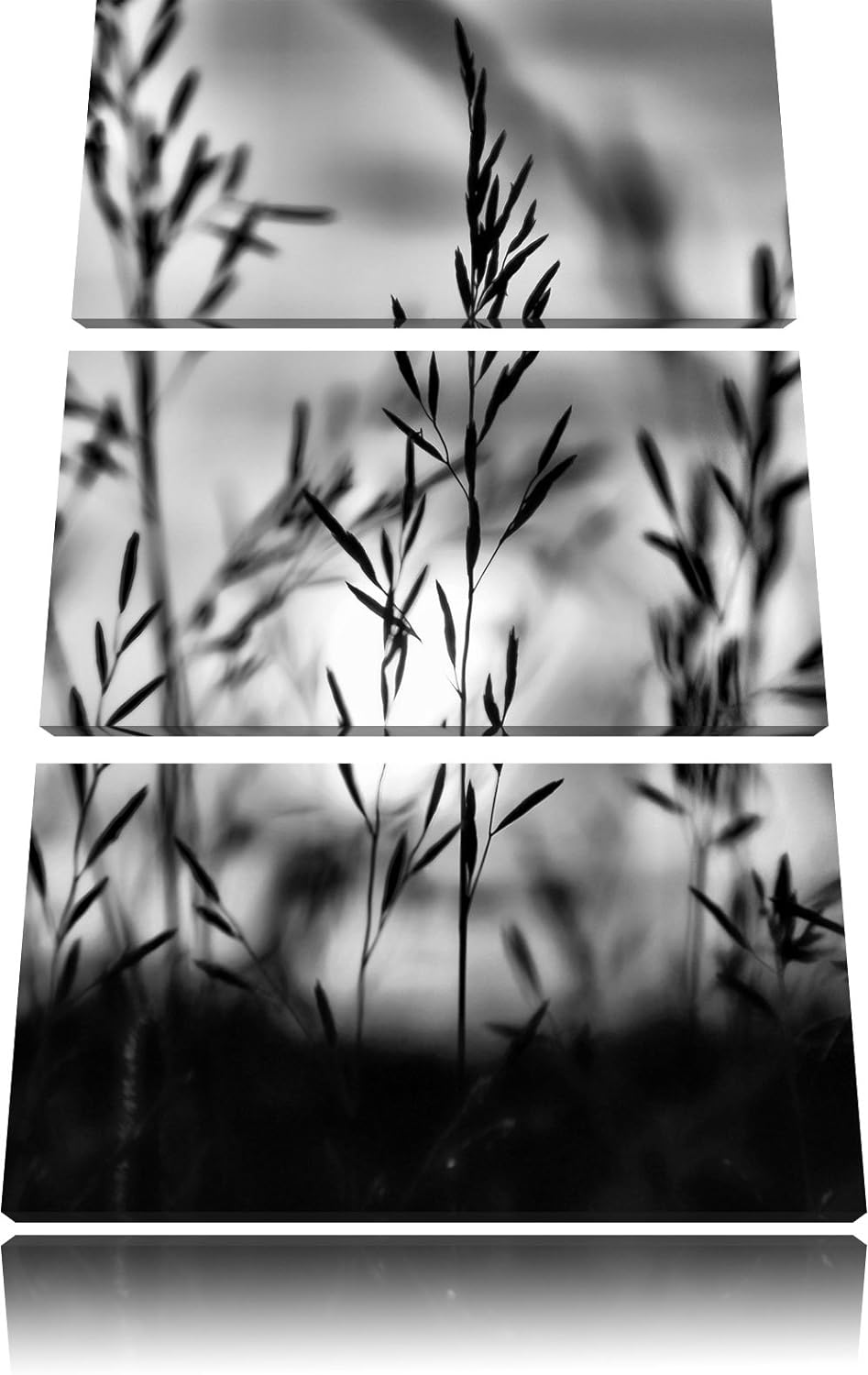 Pixxprint Gras bei Sonnenuntergang als Leinwandbild/Grösse: 3 Teilig (120x80) cm/Wandbild/Kunstdruck