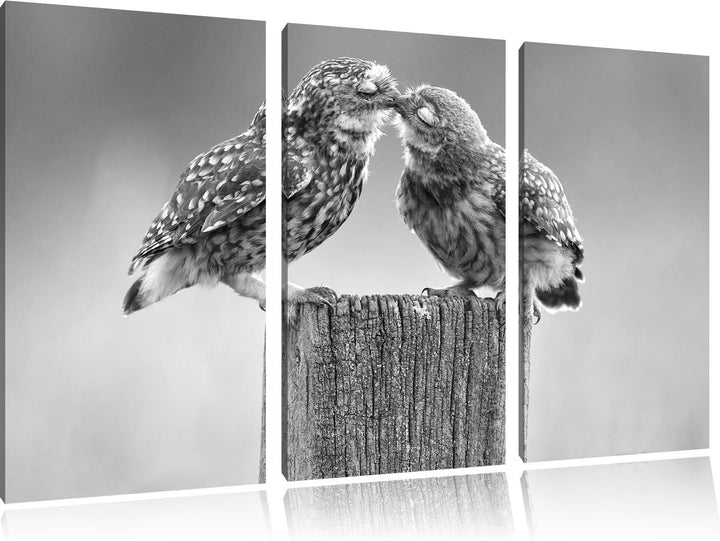 Pixxprint Küssende Eulen Kunst B&W als Leinwandbild/Grösse: 3 Teilig (120x80 cm) cm/Wandbild/Kunstdr