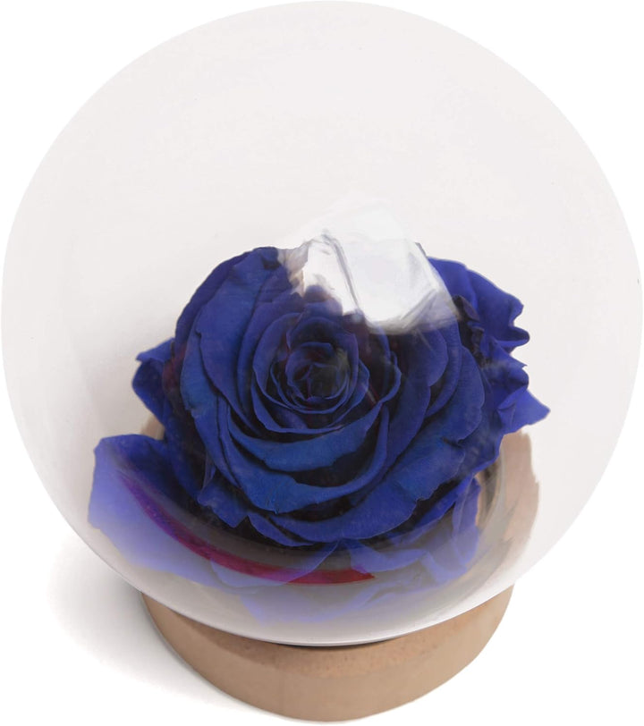 Infinity Rose im Glas die Schöne und das Biest echte langlebige Rose in Glaskugel (Large, Blau) Larg