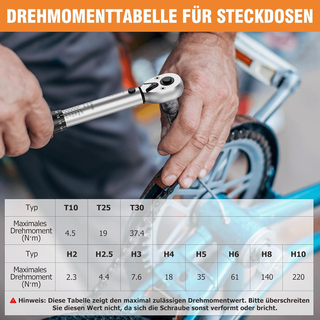 13TLG Klein Drehmomentschlüssel Fahrrad 1-25NM, 1/4 Zoll Torque Wrench Set, 72 Zähne Umschaltknarre,