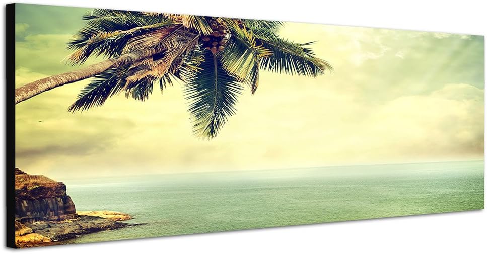 Paul Sinus Art Panoramabild auf Leinwand und Keilrahmen 150x50cm Strand Meer Palme Felsen Vintage