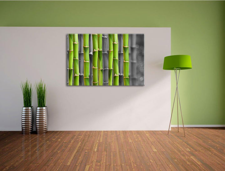 frischer grüner Bambus schwarz/weiss Format: 100x70 auf Leinwand, XXL riesige Bilder fertig gerahmt