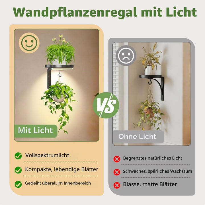 LASZOLA Blumenständer Wandmontage Pflanzenhalter Blumenregal mit Lights | 2 Stück Moderne Blumentopf