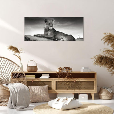 Wandbilder Dekoration Wohnzimmer Tierwelt weiblich katze Tier Panorama Bilder auf Leinwand 120x50cm