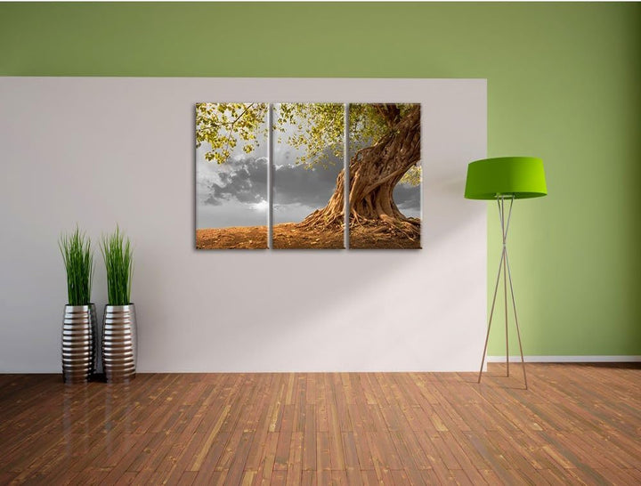 Pixxprint Baum als Leinwandbild/Grösse: 3 Teilig (120x80 cm) cm/Wandbild/Kunstdruck/fertig bespannt