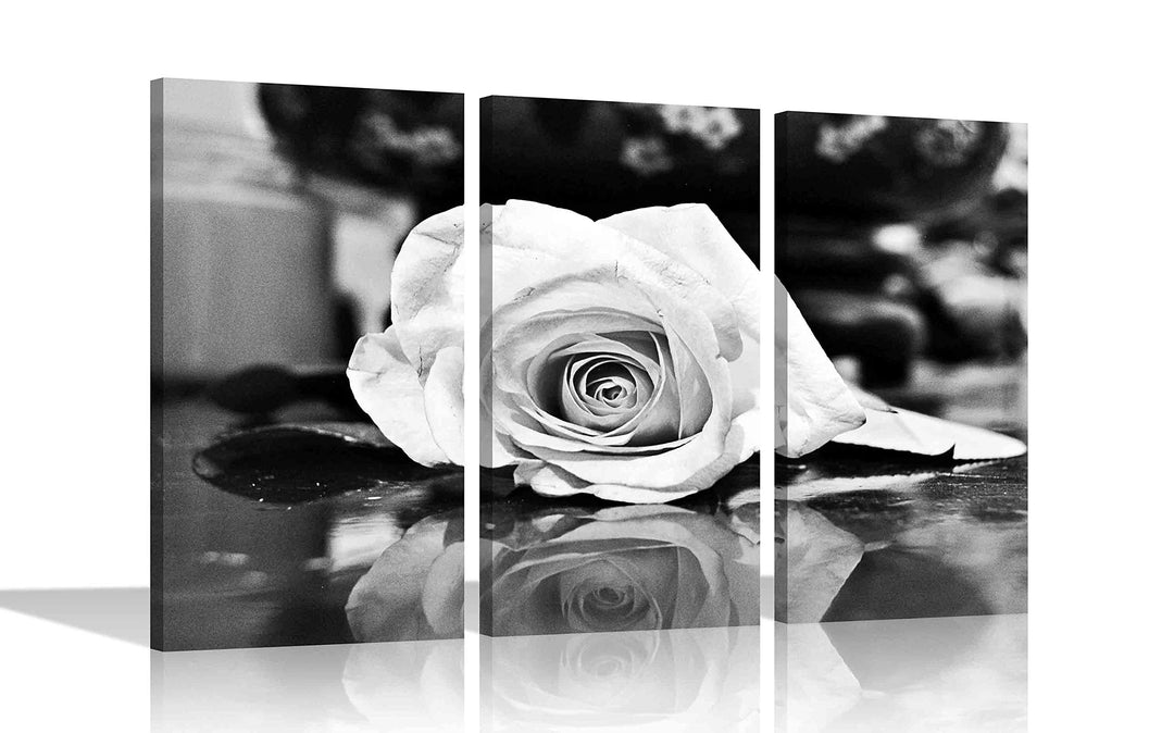 Kunstdruck auf Leinwand, Motiv: Rose, 50 x 25 cm, Schwarz / Weiss 50 x 25cm (20 x 10 inches) X 3, 50